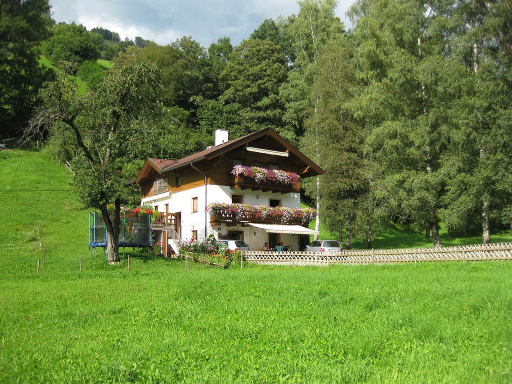 Appartement Haus Gandler à Zell am See Extérieur photo