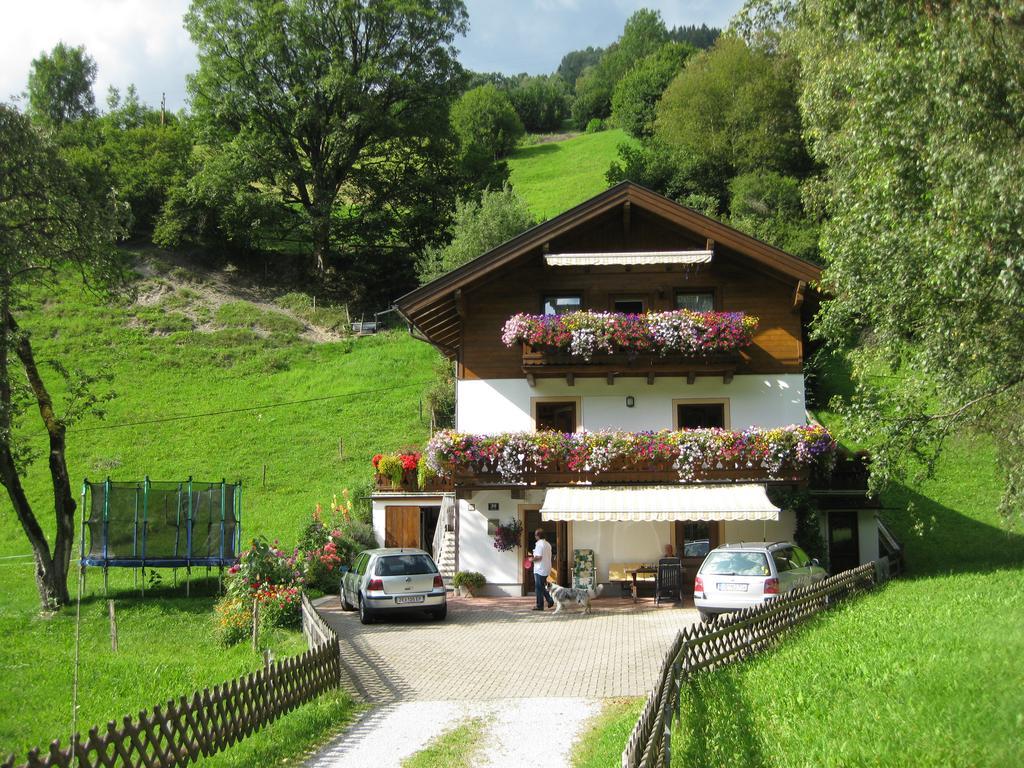 Appartement Haus Gandler à Zell am See Extérieur photo