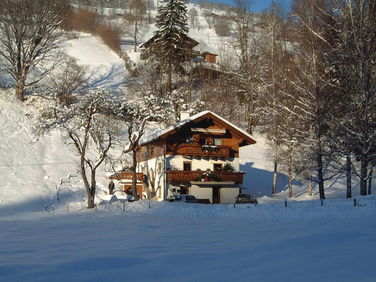 Appartement Haus Gandler à Zell am See Extérieur photo